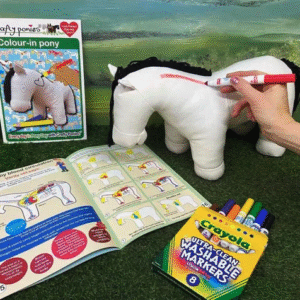 Crafty Pony Vinyl Pony with Booklet and Markers
