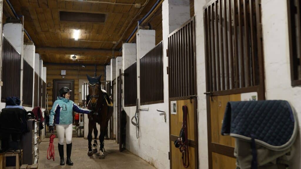The Trainers Loft Horse Barn Winter Care, Woman wearing equestrian gear leading her beautiful saddled brown horse through a stable corridor. The animal exhales steam in the cool air