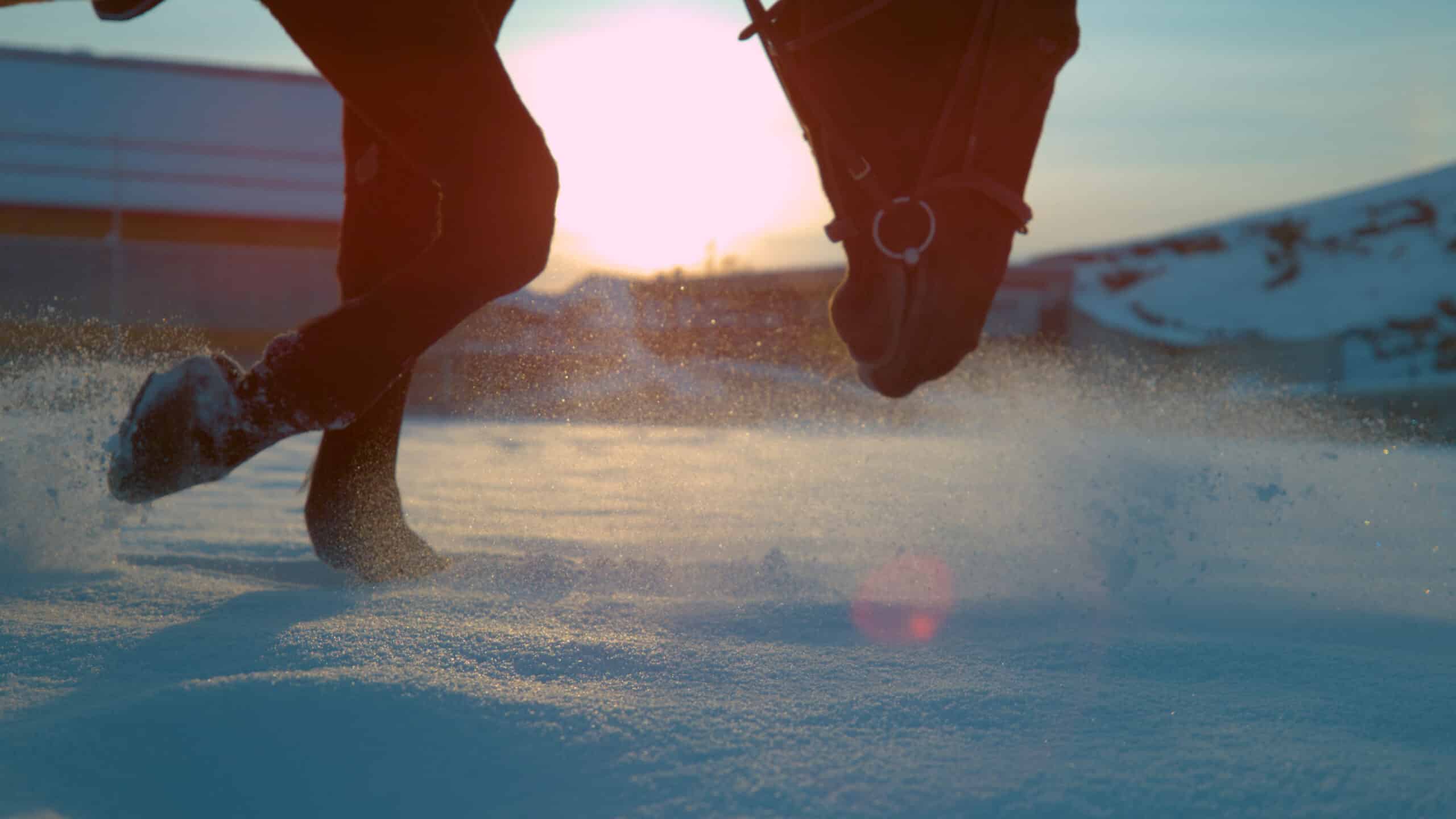 The Trainers Loft Winter Hoof Care, CLOSEUP: Horse walking in fresh snow, spraying snowflakes over sun