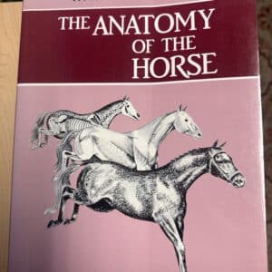The Anatomy of the Horse, Way and Lee