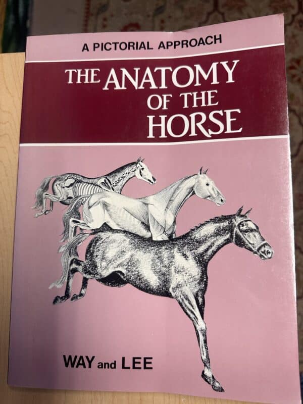 The Anatomy of the Horse, Way and Lee