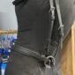 Dr. Cook Beta Bitless Bridle, Full