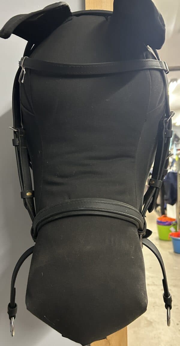 IMG_6320 Cross Under Bit Less Bridle, Full