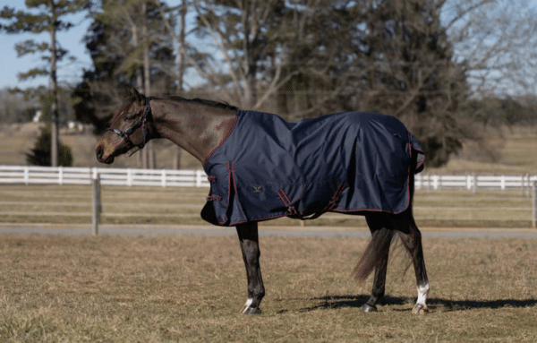 TuffRider Ripstop Standard Neck Lightweight Turnout Blanket