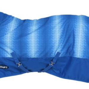 pony chevron TO blanket