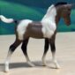 Breyer Our First Pony Gift Set Pinto Foal