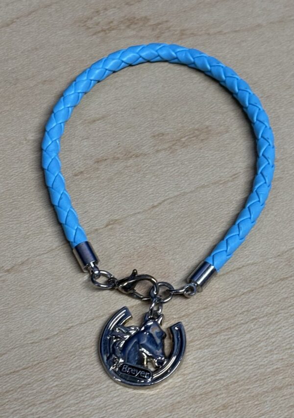 IMG_3581 Breyer Friendship Bracelet Teal