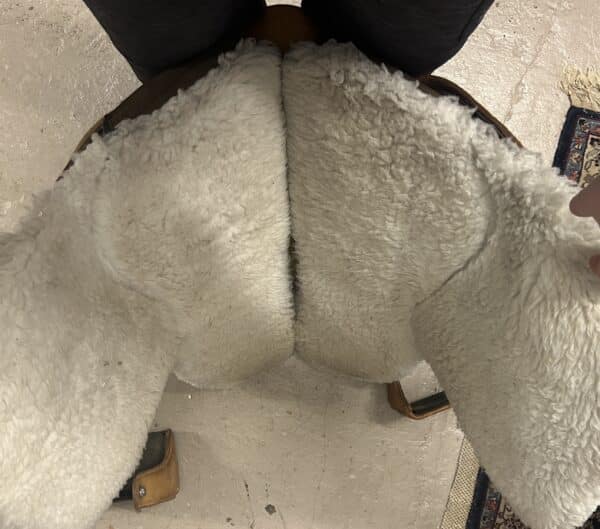 IMG_6559 Orthoflex Endurance Saddle, 14.5"