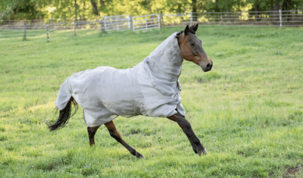 Screen Shot 2026-01-28 at 12.20.58 PM