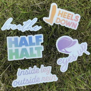 Dapplebay Trainer Sayings Sticker Pack