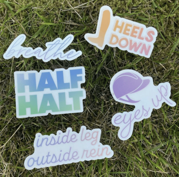 Dapplebay Trainer Sayings Sticker Pack