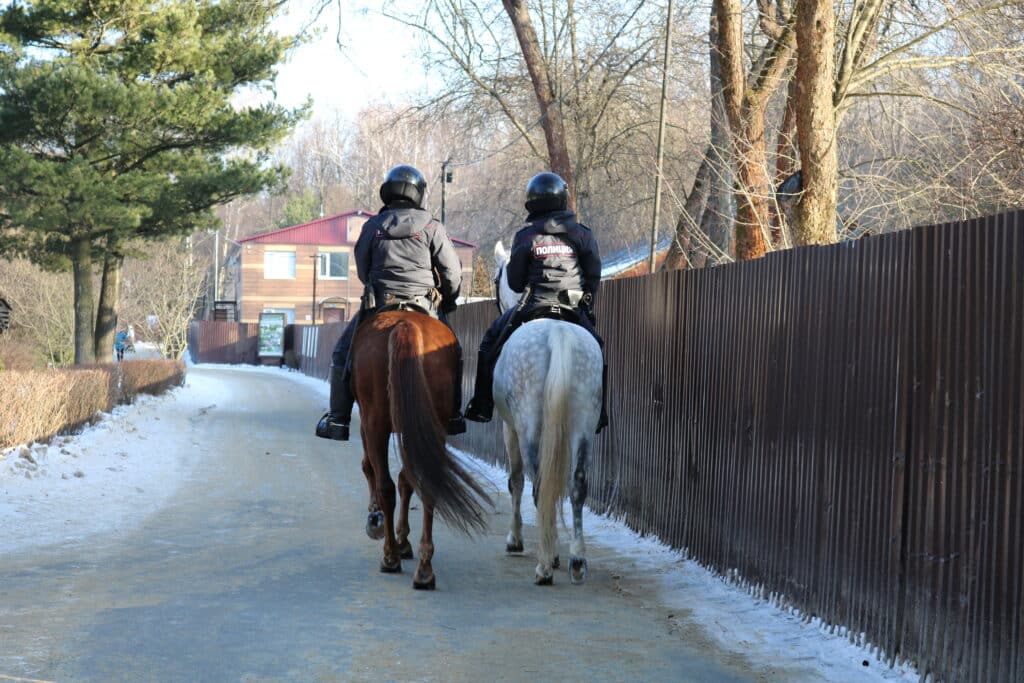 The Trainers Loft Breeches, Two mounted police officers in uniform are driving along the road in the Park. The view from the back. The photo was taken in natural daylight.