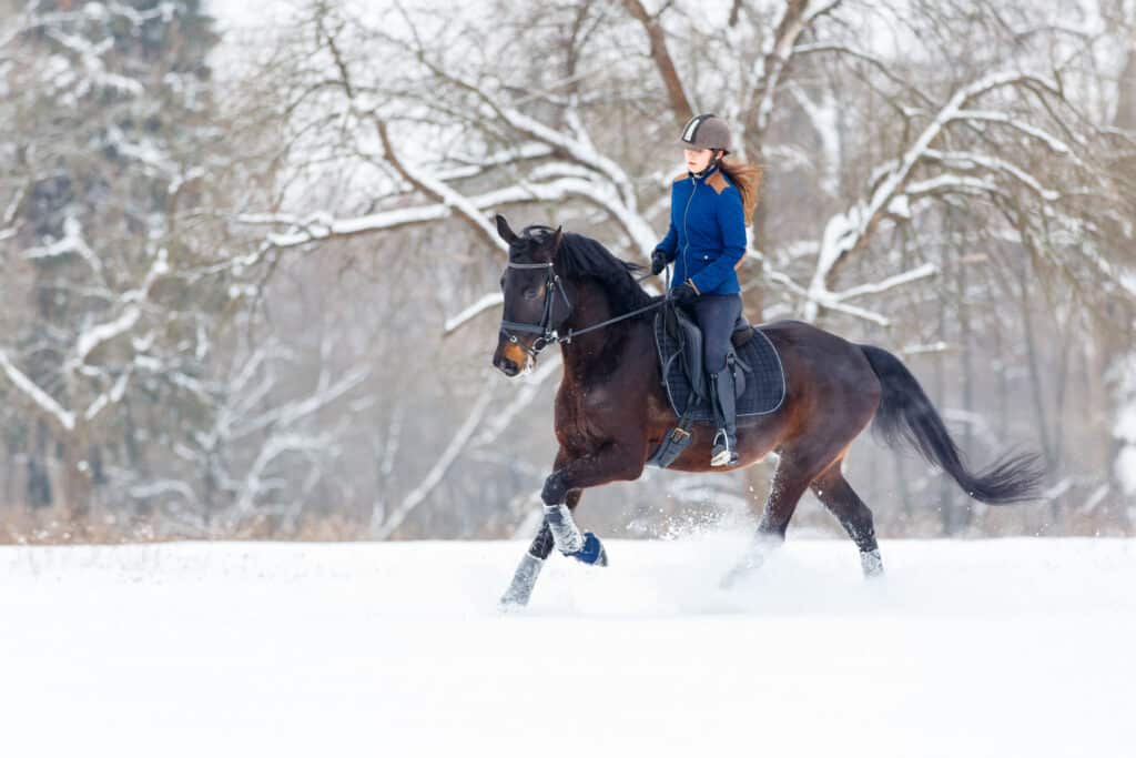 The Trainer's Loft horse and saddle shop, Young rider girl on bay horse galloping in winter. Equestrian winter activity background