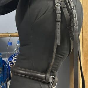 Dr. Cook's Leather Bitless Bridle, Horse