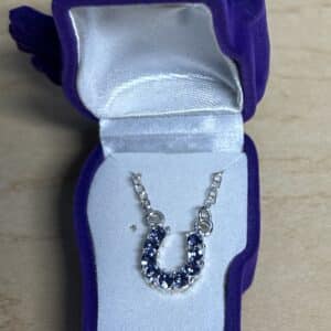 Rhinestone Horseshoe Necklace
