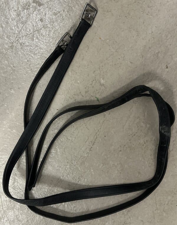 Passier Nylon Lined Stirrup Leathers, 61"