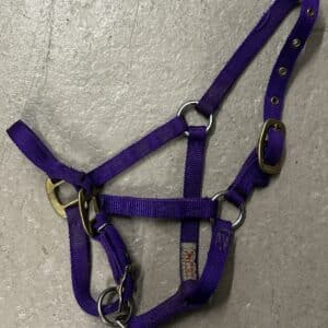 Nylon Halter, Large Pony/Weanling