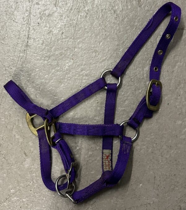 Nylon Halter, Large Pony/Weanling