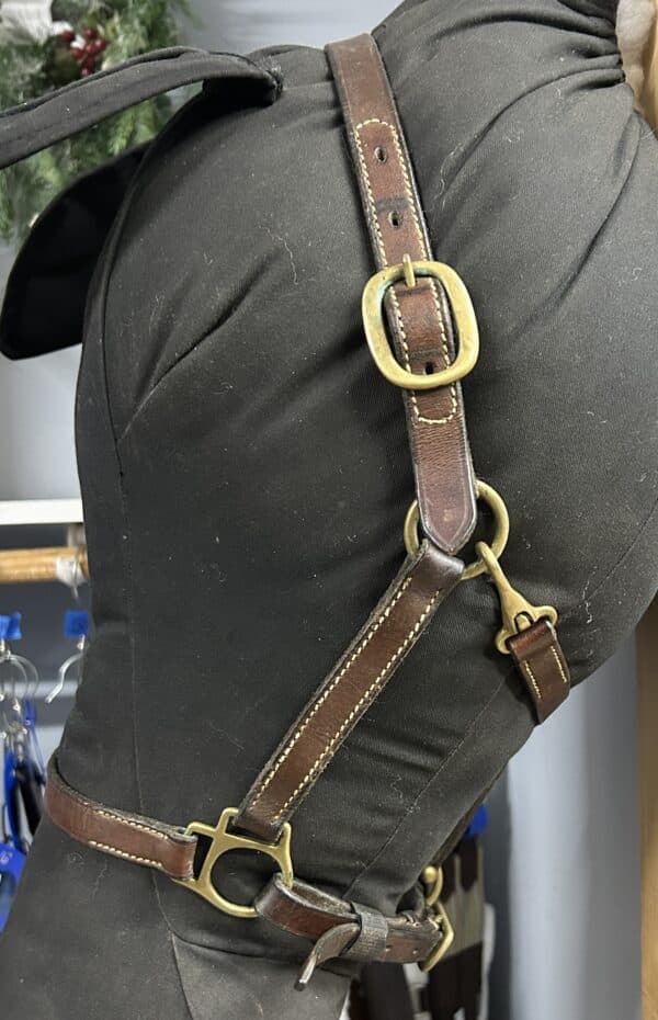 Leather Halter, Cob