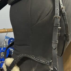 Figure 8 Bling Bridle, XFull