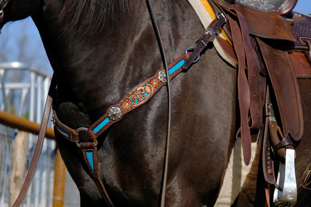 Brown horse in breast collar close up, western tack concept for horseback riding.
