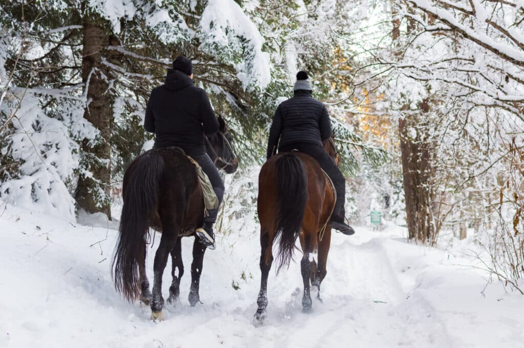The Trainer's Loft Horse and Saddle Shop, Man and woman rides on horses through snowy landscape.