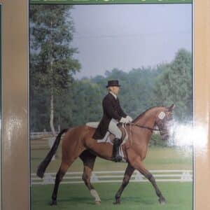 Riding Logic, W Museler