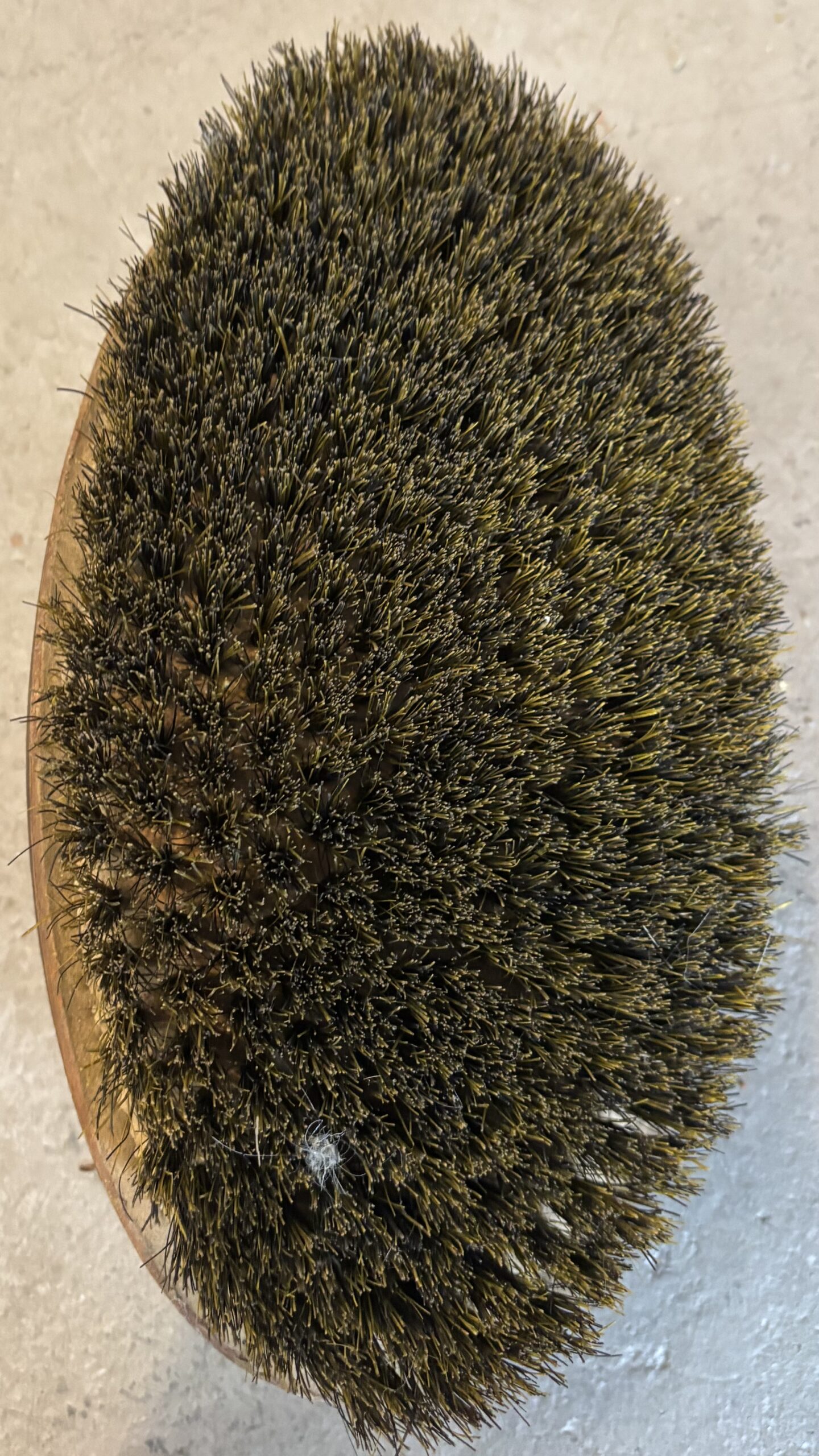 Medium Brush 2 Medium Brush