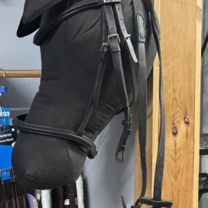 Stubben bridle and reins