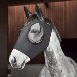 Catago Lycra Fly Mask on horse with protective mesh and forelock hole