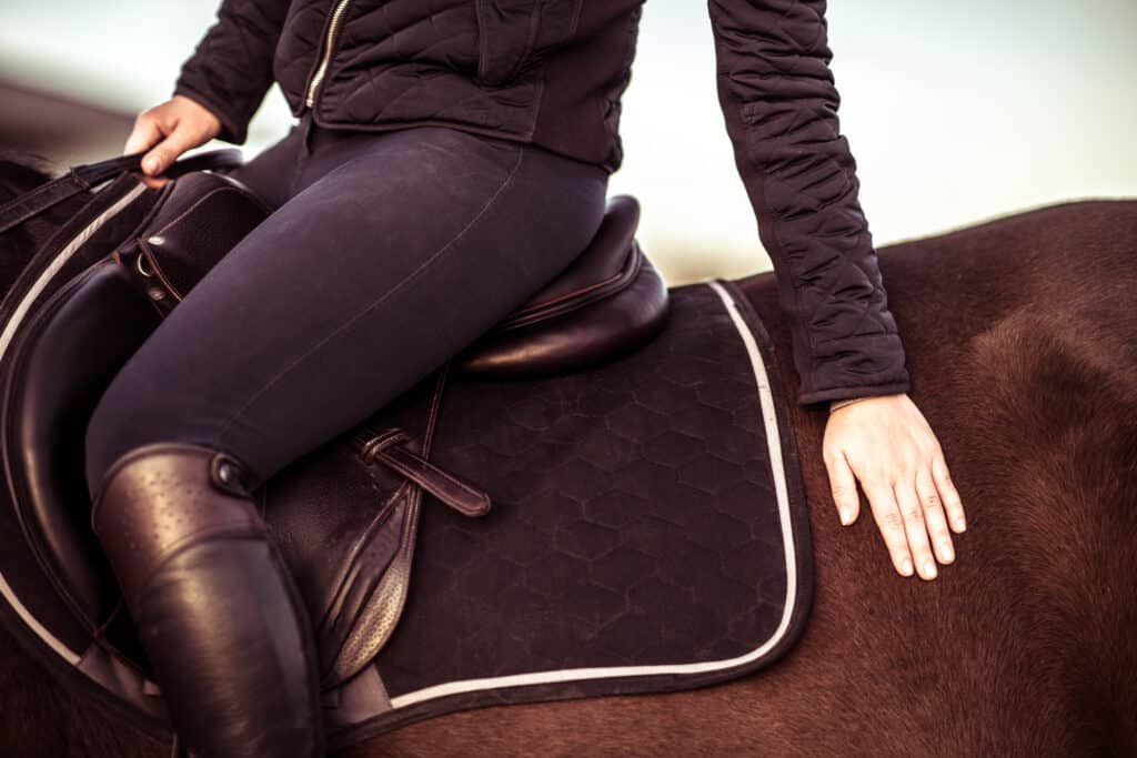 The Trainer's Loft horse saddle, Girl Rider Stroking Her Horse Closeup