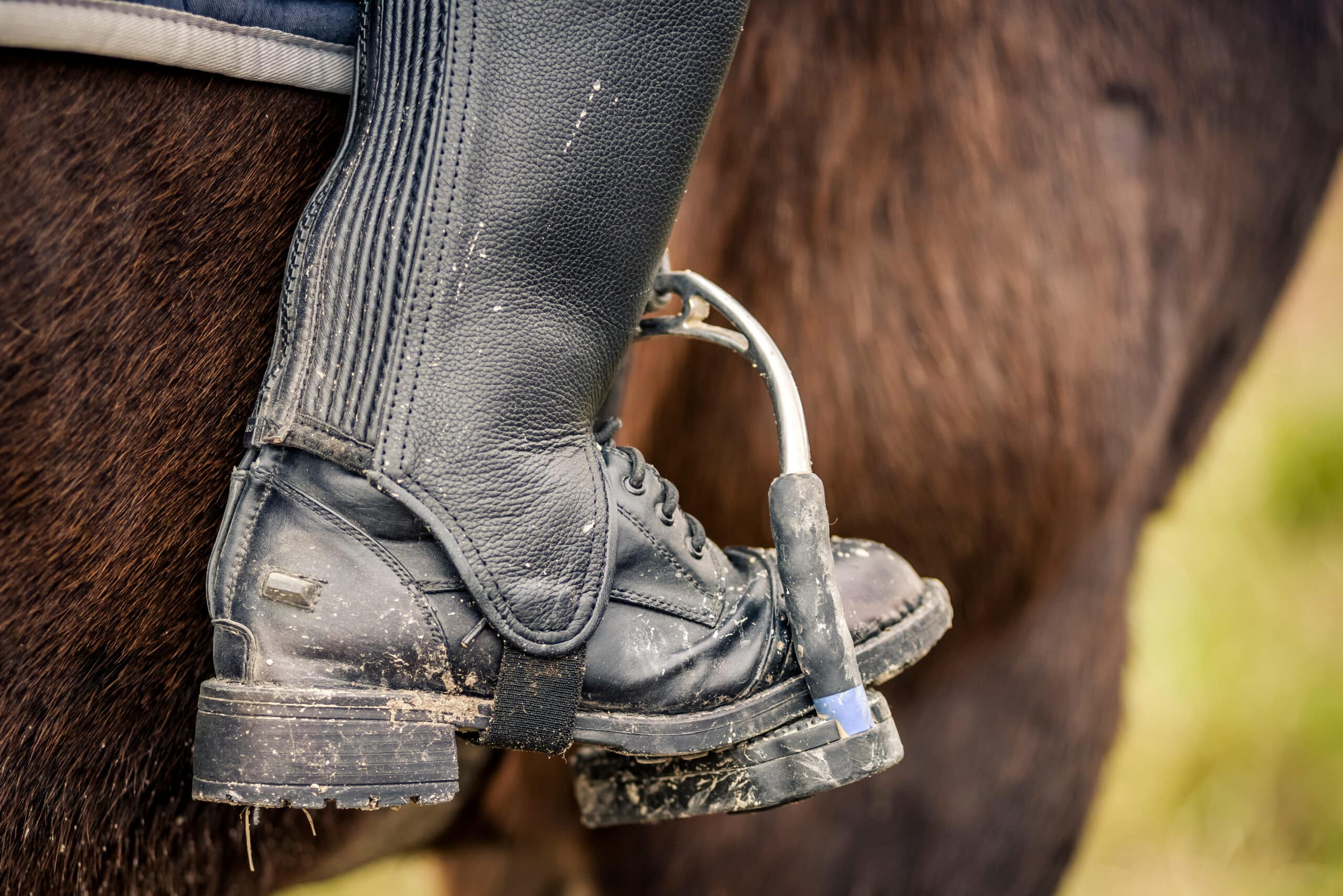 The Trainer's Loft Riding Boots, Close up of a dirty riding boot
