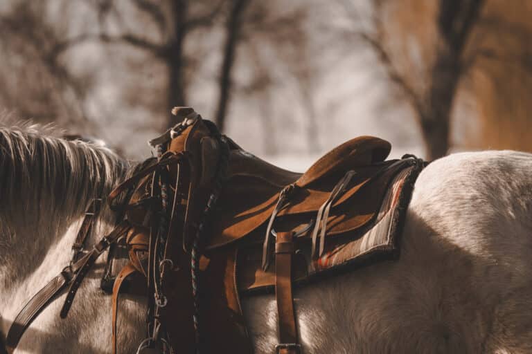 close up of leather western saddle with horse bridle handing over saddle horn