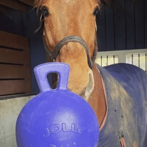 Horseman's Pride Jolly Ball, 10in.