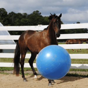 Horseman's Pride Jolly Mega Ball