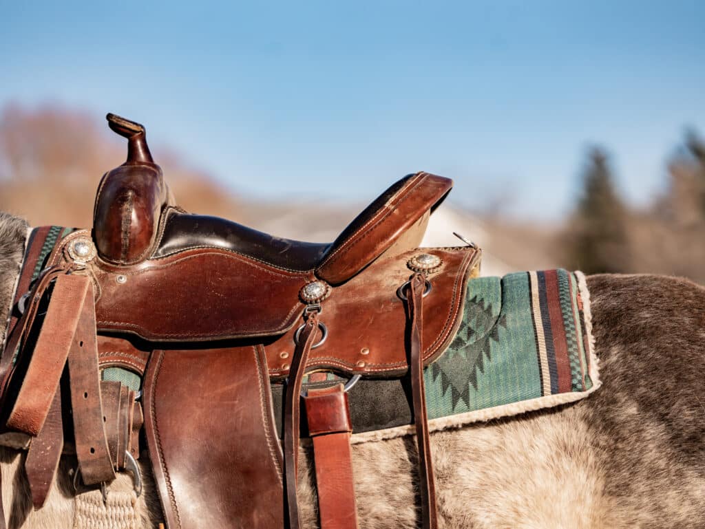 The Trainer's Loft Saddles and Horse Tack, Close-up of a western leather saddle on a horse with colorful blanket