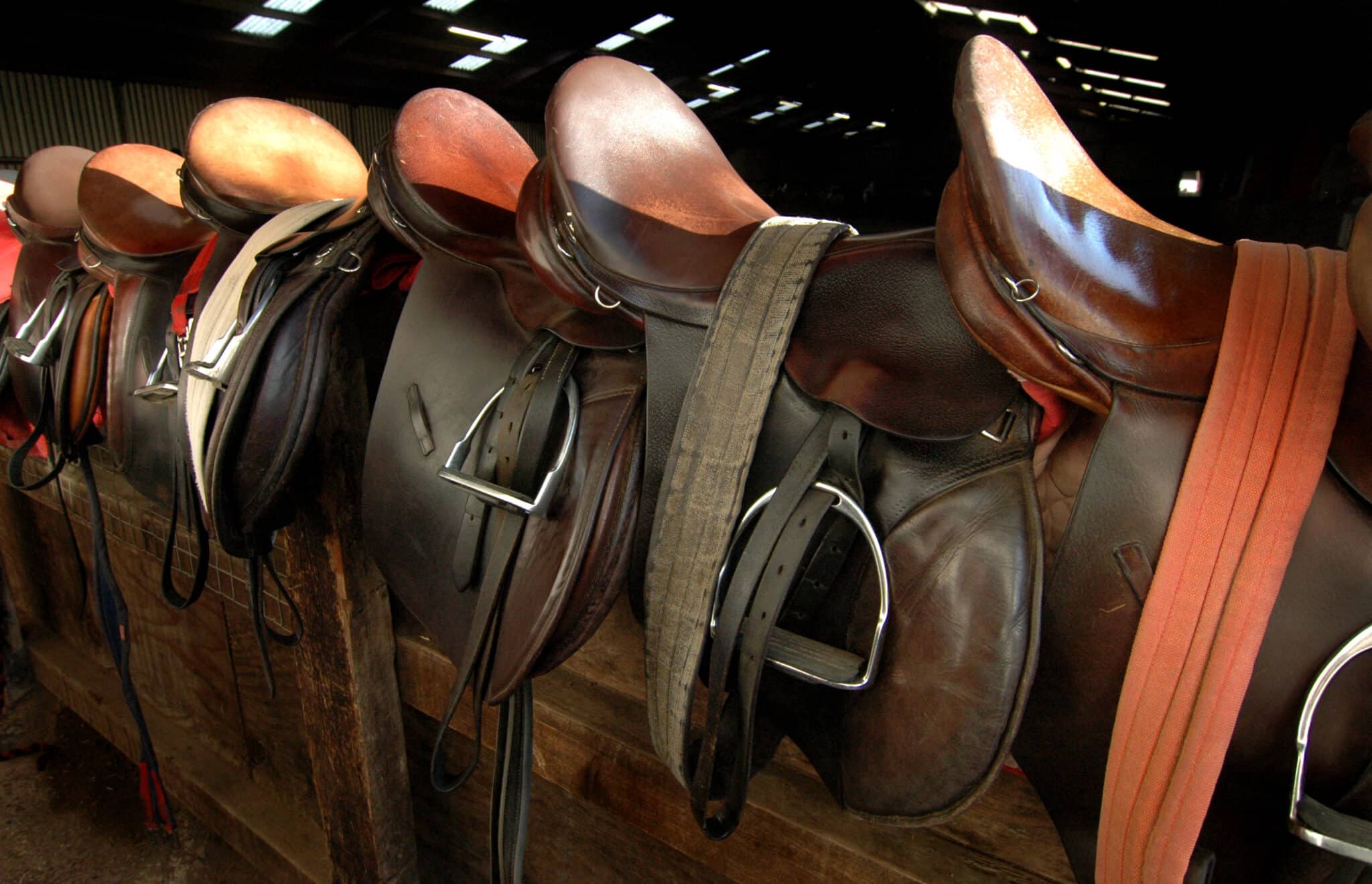 The Trainer's Loft saddles for sale, Saddle lined up on the fence