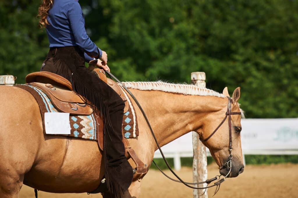 The Trainer's Loft saddles for sale, Palomino quarter horse at show