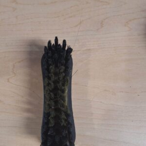 Grip Fit Face Brush for Horses