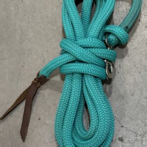 New Products 4 15' Turquoise Training Lead