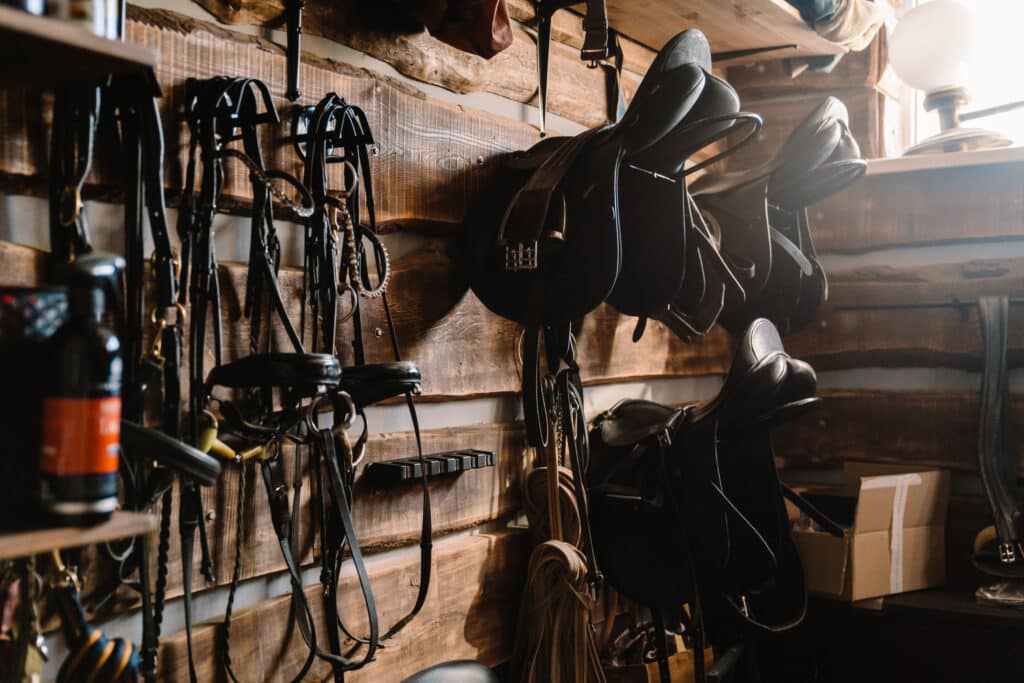 Lather horse equipment hanging on wall in stable indoors