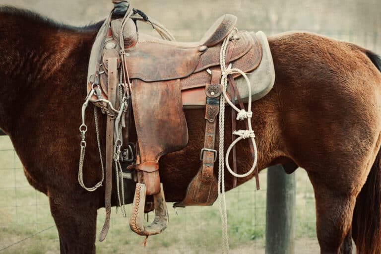 The Trainer's Loft Western Saddlery English Saddlery, A close up image of a western saddle on a work horse on a ranch or farm with a vintage feel.