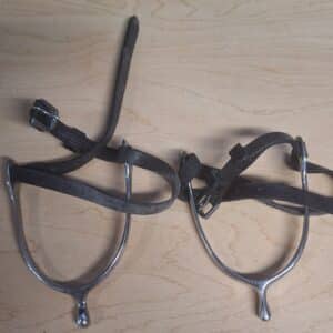 Stubben Steel 1" Spurs With Leather Strap