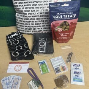 Compact Horse Show Survival Kit with essential horse show items