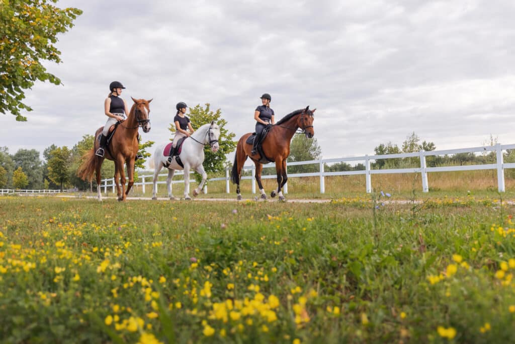 The Trainer's Loft Horse Riding Apparel, Horsewomen riding beautiful horses along the trail at the equestrian center on a bright summer day. Horse gait walks concept.