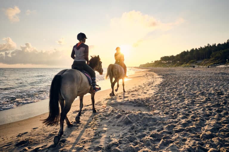 The Trainer's Loft Horse Riding Apparel, Baltic Sea beach horse back riding