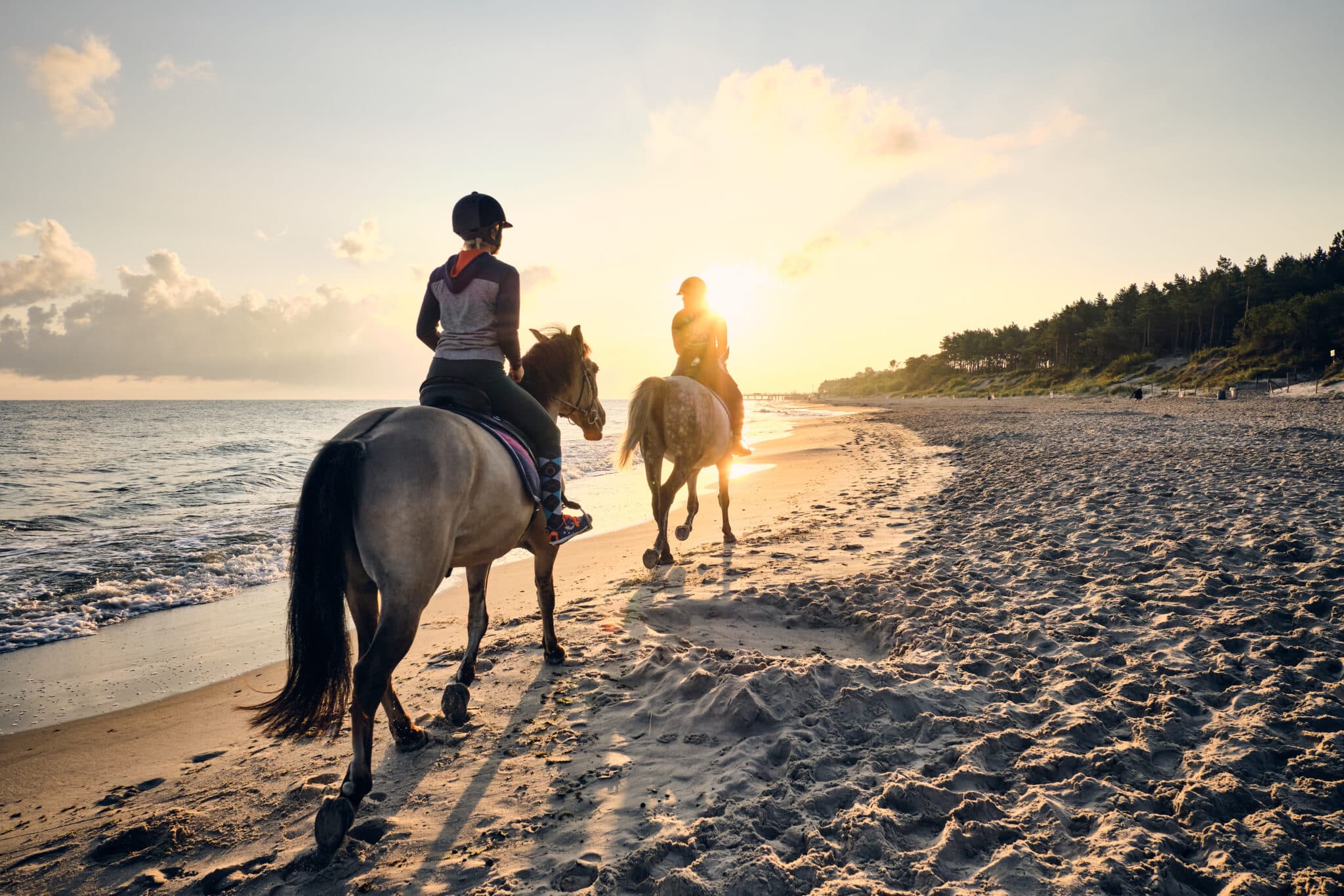 The Trainer's Loft Horse Riding Apparel, Baltic Sea beach horse back riding