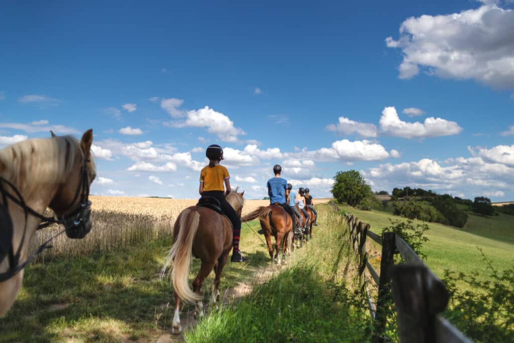 Horseback riding on trail in wide open clearing with blue skies