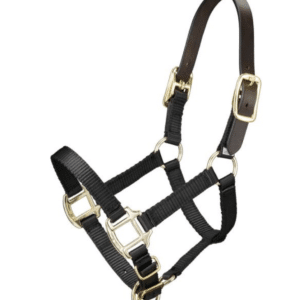 Premium breakaway nylon halter mini with leather crown and brass hardware