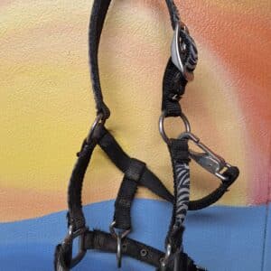 Zebra Print Nylon Mini Horse Halter Small with zebra design and metallic hardware